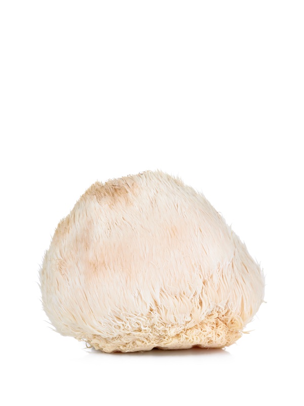 Lion mane mushroom Har du hørt om Lion’s Mane? 1