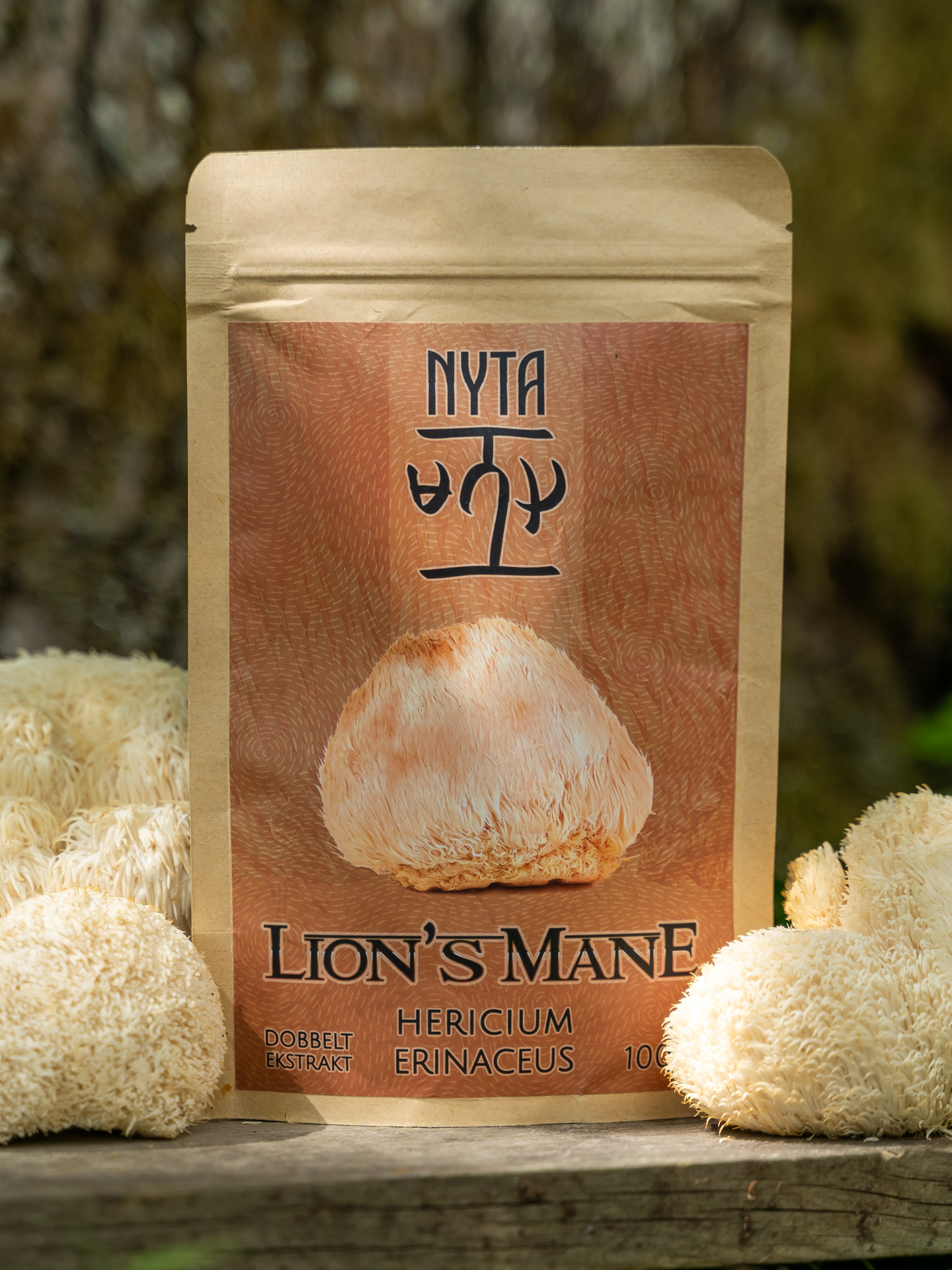 Lion's Mane Ekstrakt