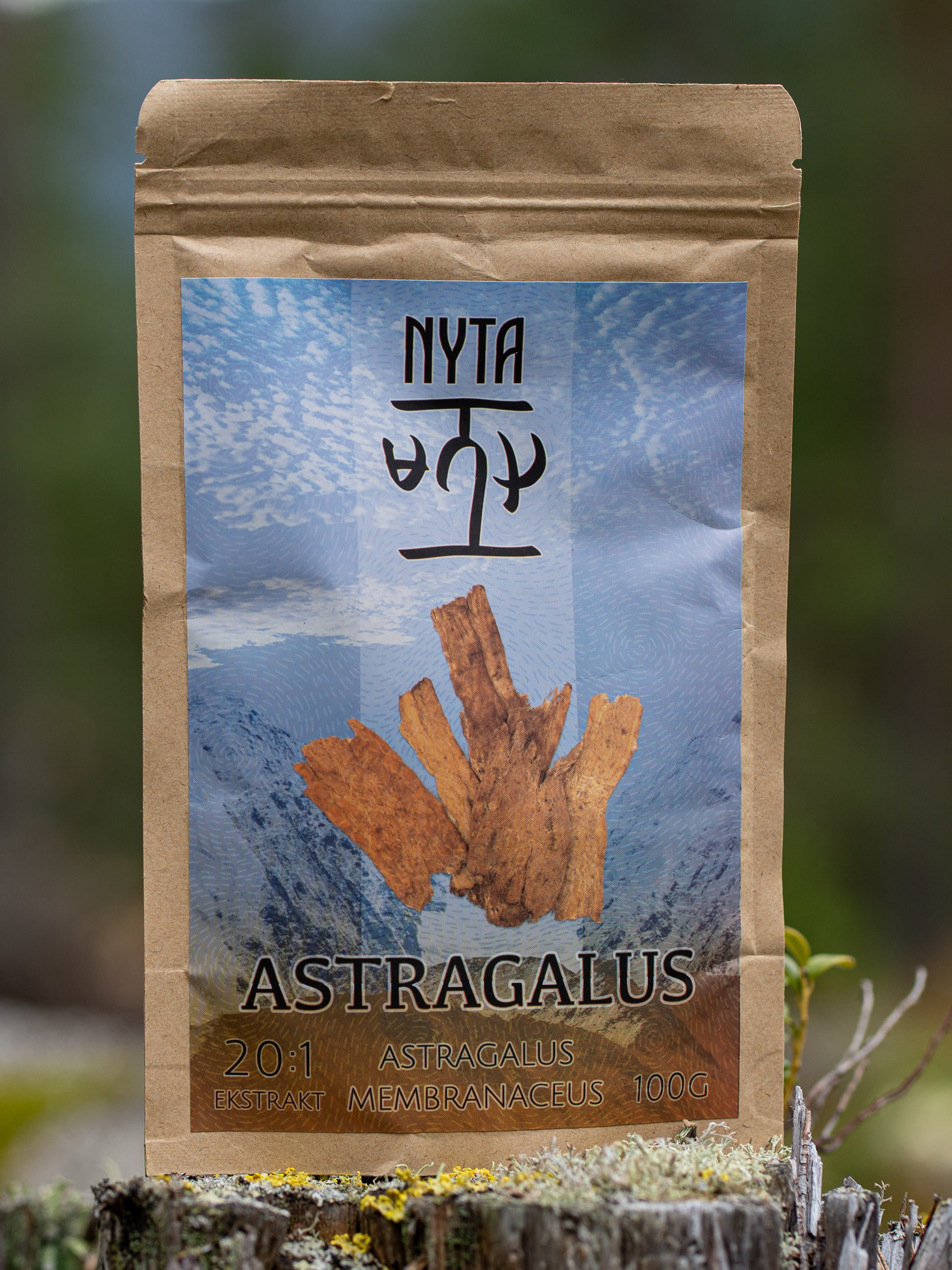 Astragalus Ekstrakt