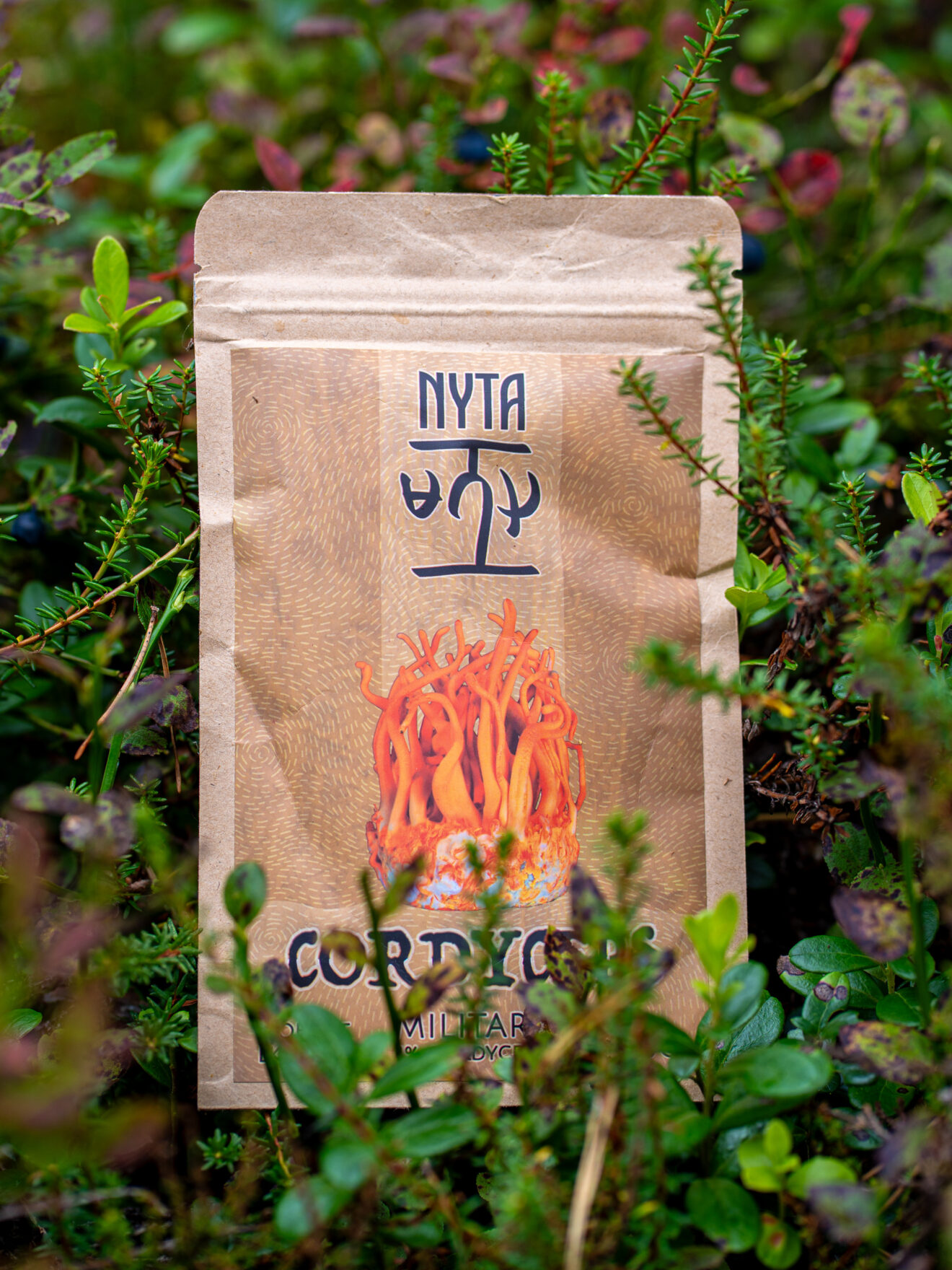 Cordyceps Ekstrakt