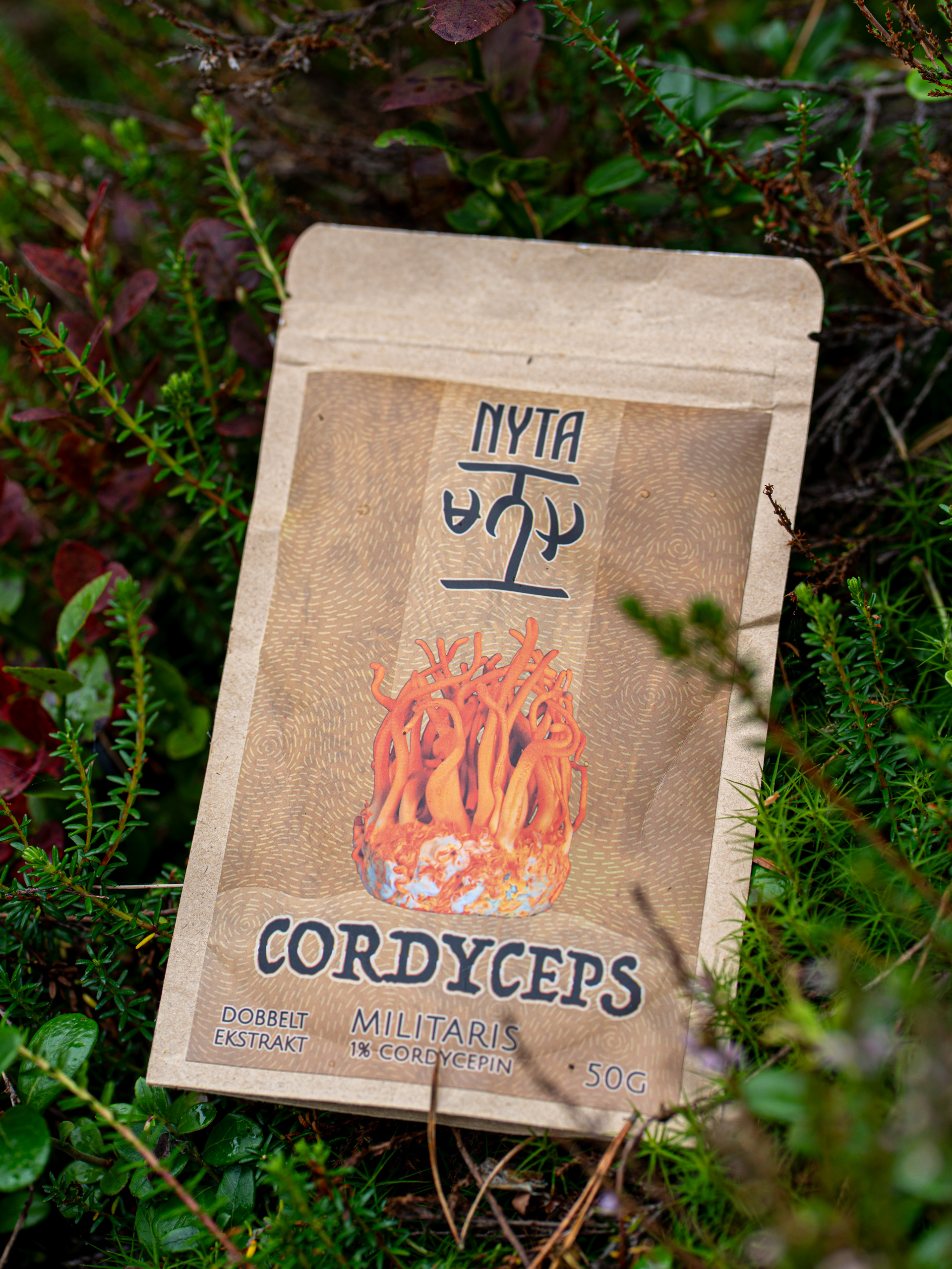 Cordyceps Ekstrakt - Bilde 3