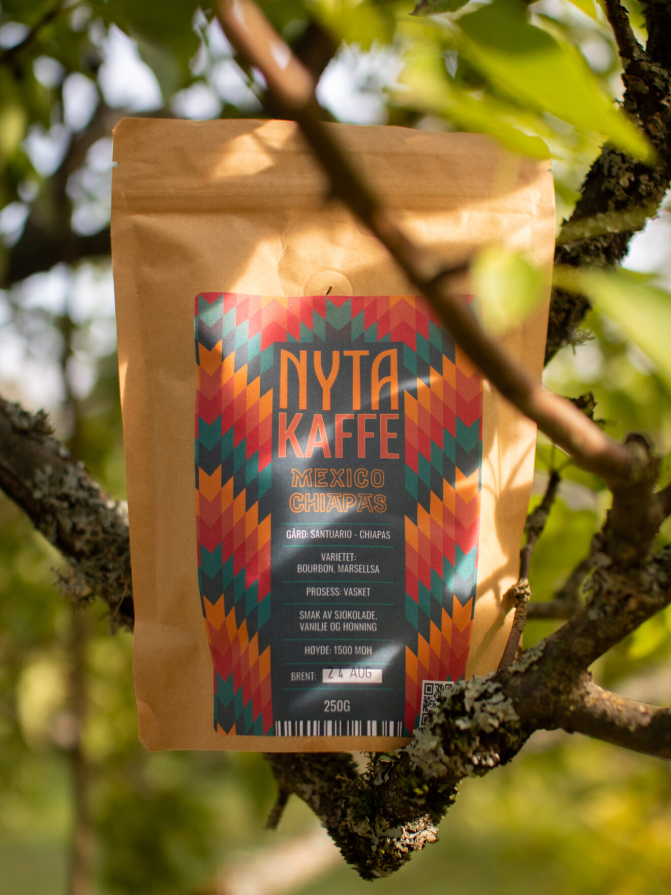 Nyta Kaffe: Chiapas