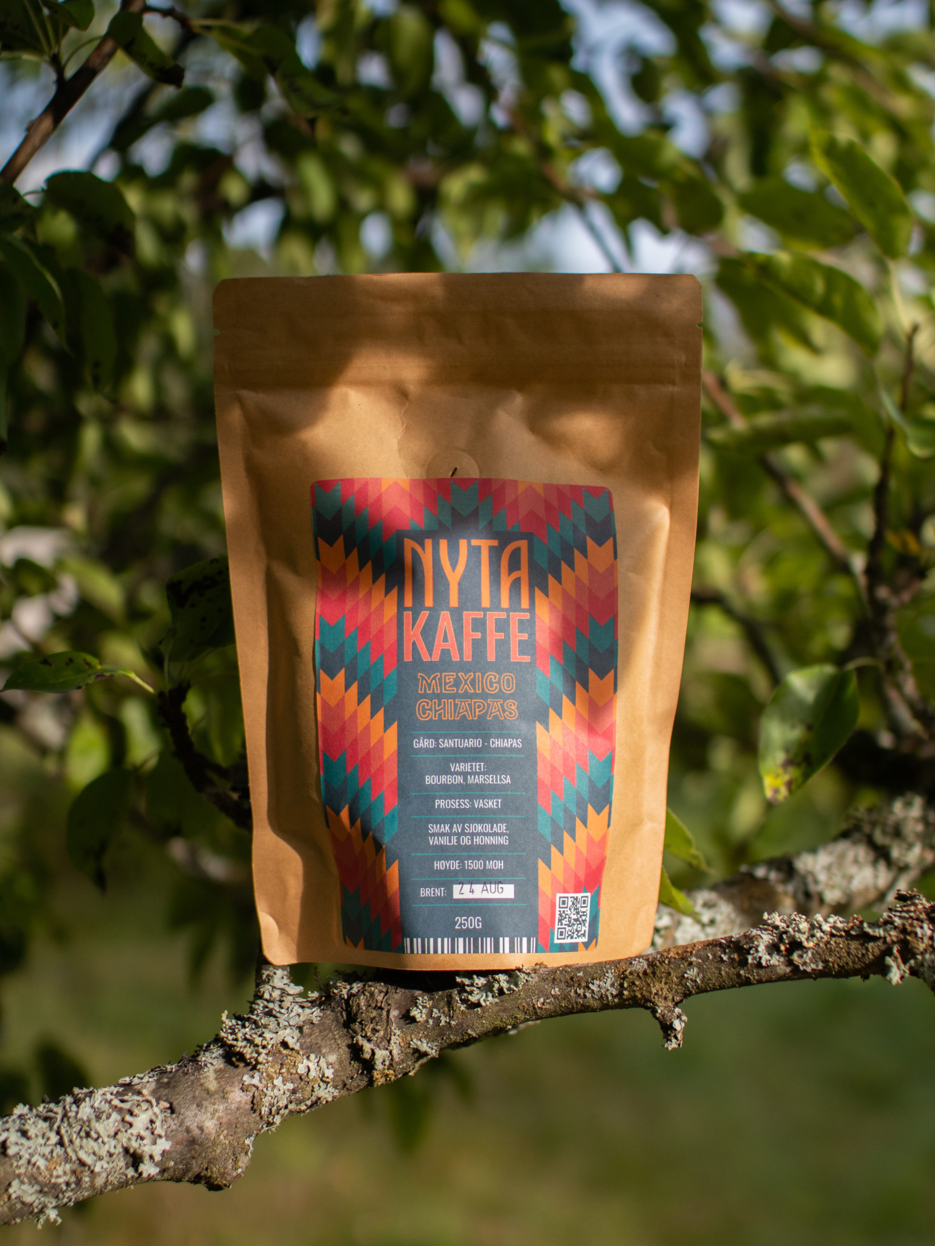Nyta Kaffe: Chiapas - Bilde 3