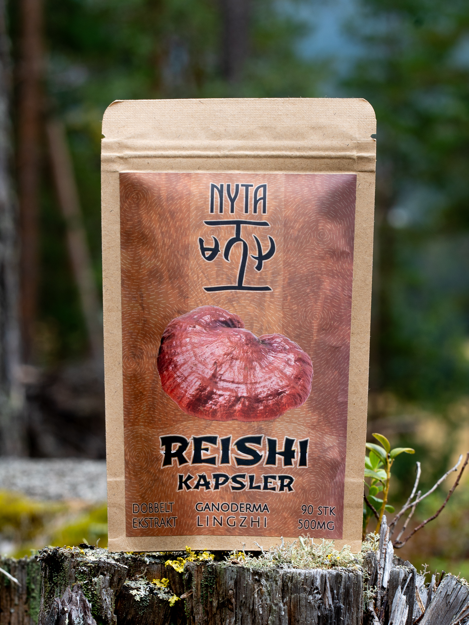 Reishi Ekstrakt