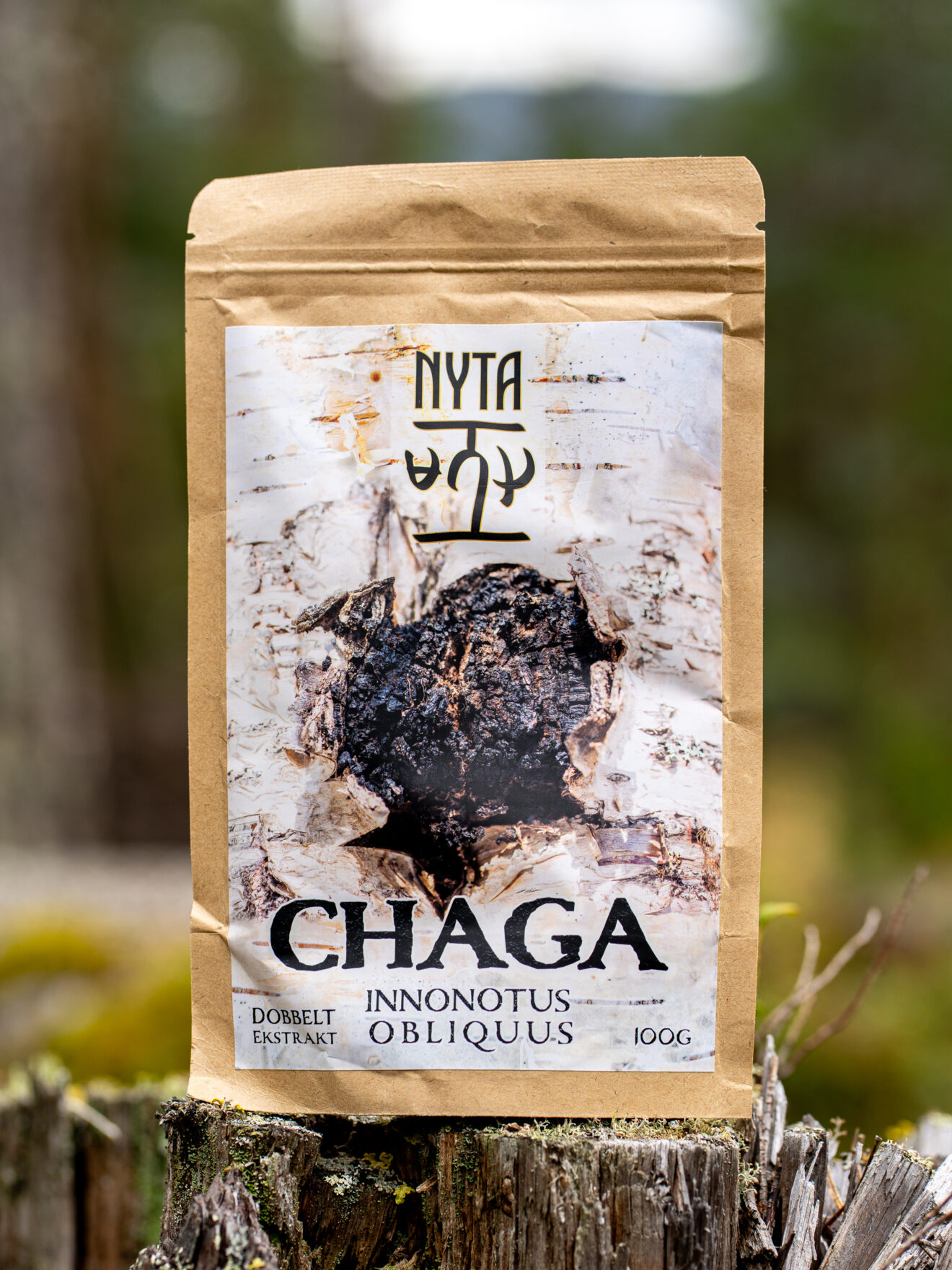 Chaga Ekstrakt