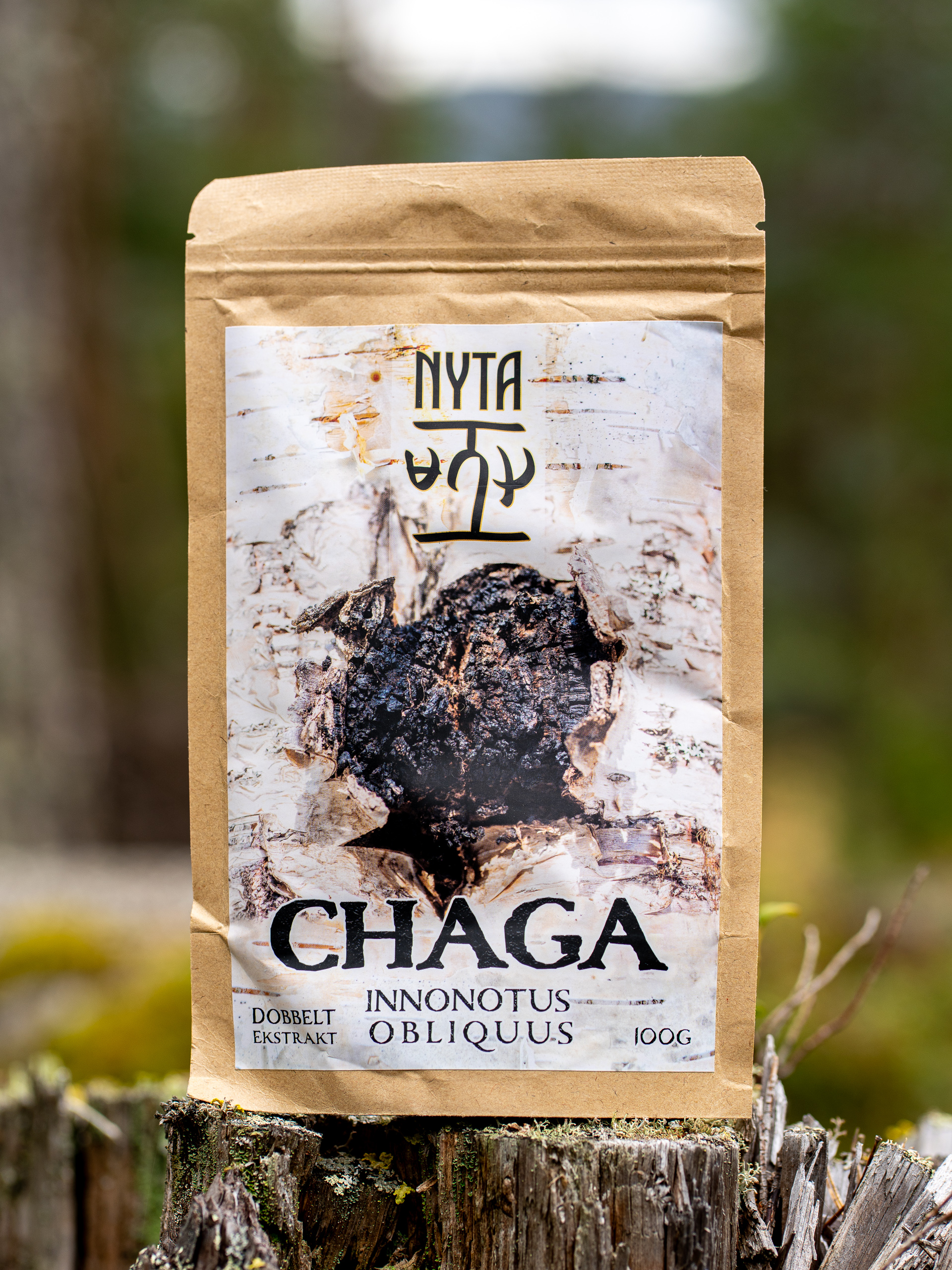 Chaga Ekstrakt